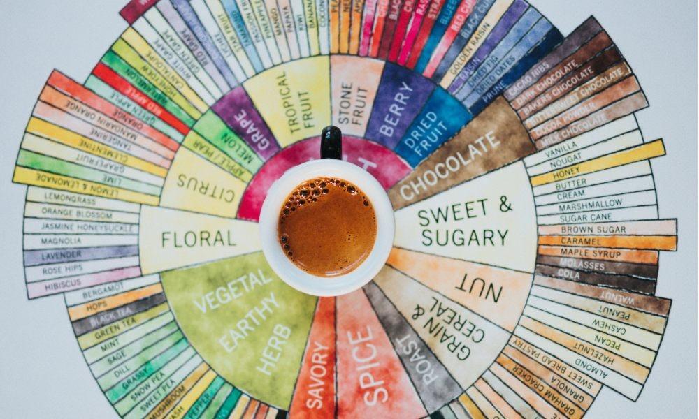 coffee taster's flavour wheel