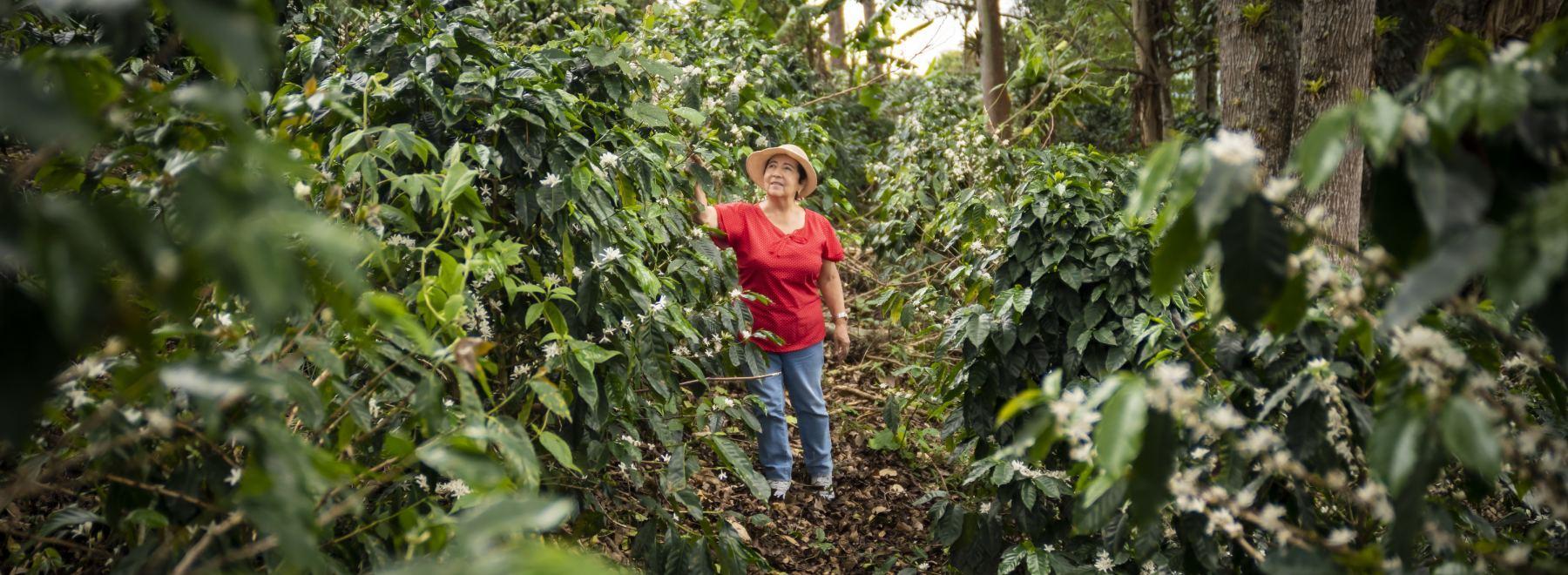 female coffee producer