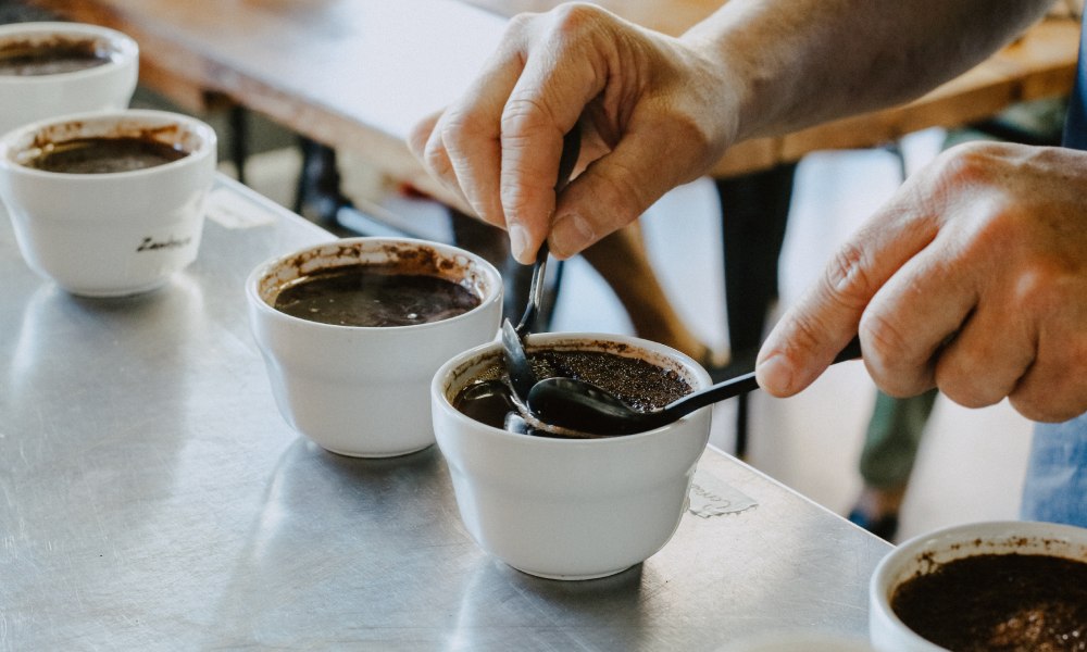 coffee flavour wheels were developed for coffee breeding