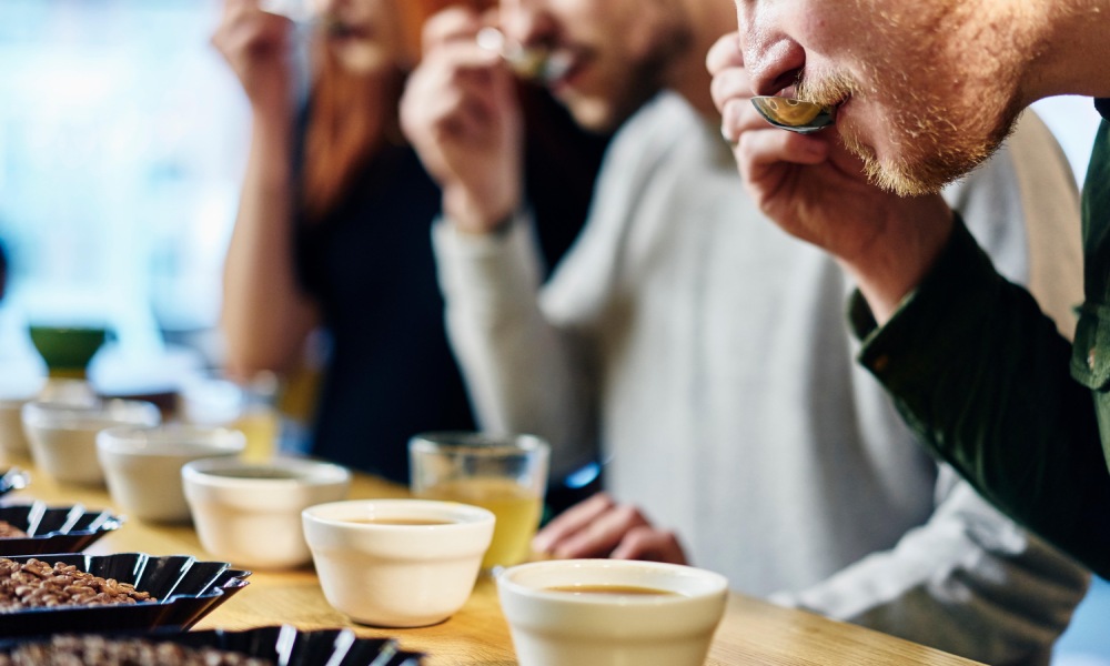 judges being tested for coffee competitions