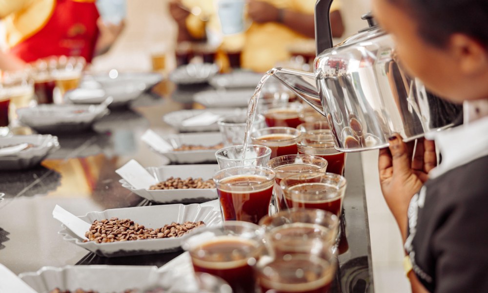 cupping is an important part of assessing coffee quality